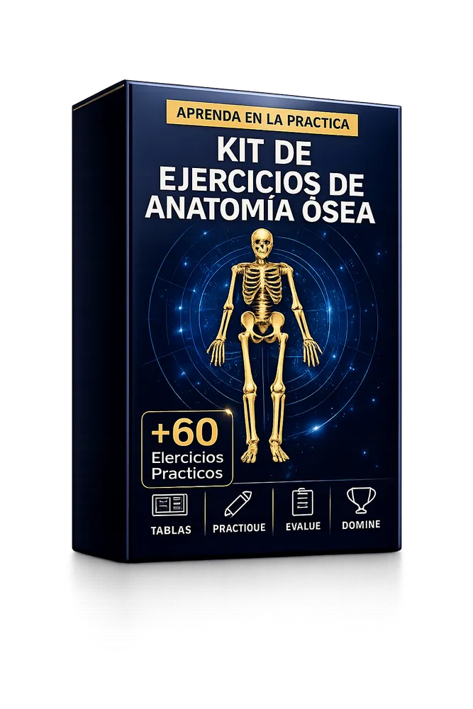 Kit de ejercicios de anatomia osea